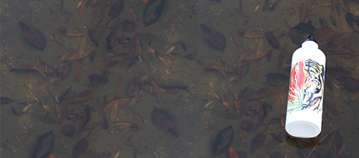 banner